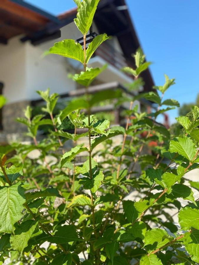 Plitvice Fairytale Bed & Breakfast Plitvicka Jezera Exterior photo